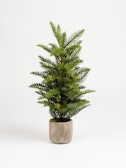 Scottish Everlastings Ltd Green Artificial Christmas Pine Tree in Cement Pot - Image 2 of 3
