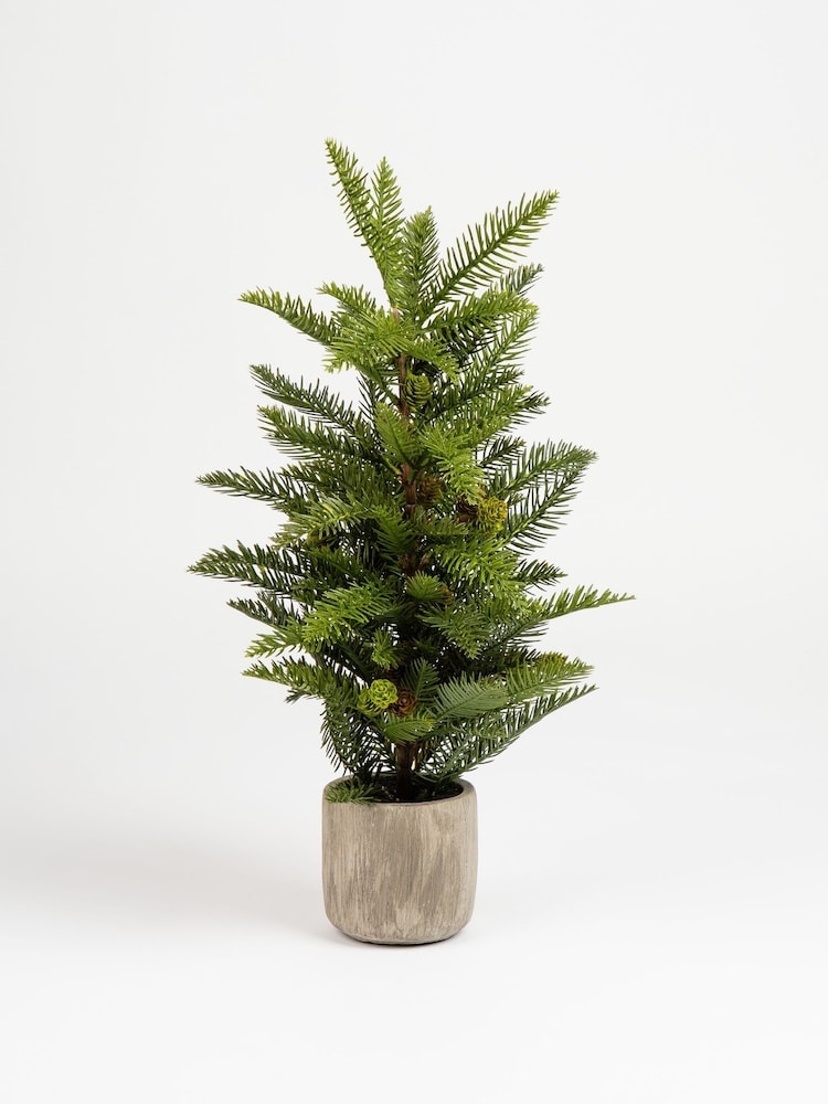 Scottish Everlastings Ltd Green Artificial Christmas Pine Tree in Cement Pot - Image 2 of 3 Scottish Everlastings Ltd Green Artificial Christmas Pine Tree in Cement Pot - Image 2 of 3