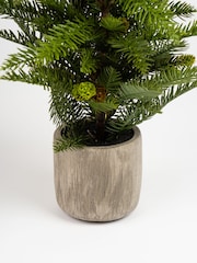 Scottish Everlastings Ltd Green Artificial Christmas Pine Tree in Cement Pot - Image 3 of 3