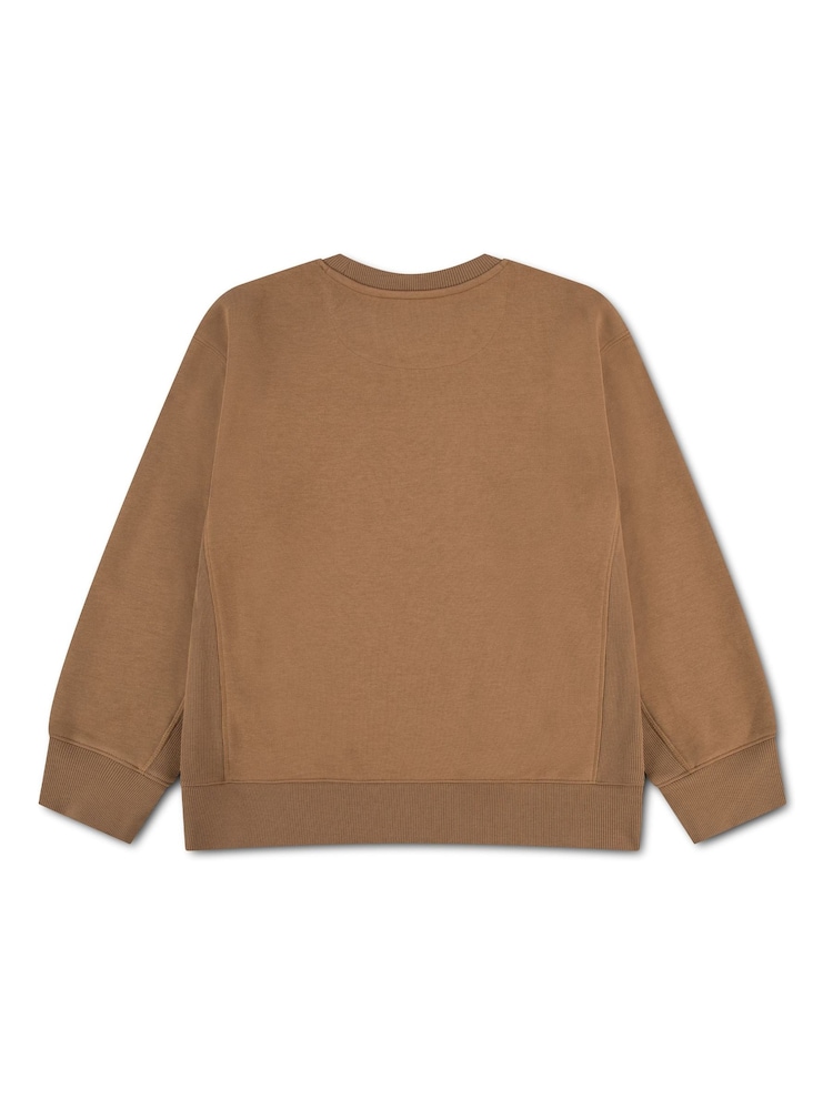 Levi's® Brown Vintage Collegiate Crew Neck Sweat Top - Image 4 of 4 Levi's® Brown Vintage Collegiate Crew Neck Sweat Top - Image 4 of 4