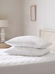 Set of 2 Sleep In Silk Soft 100% Cotton Pillows - Image 1 of 3