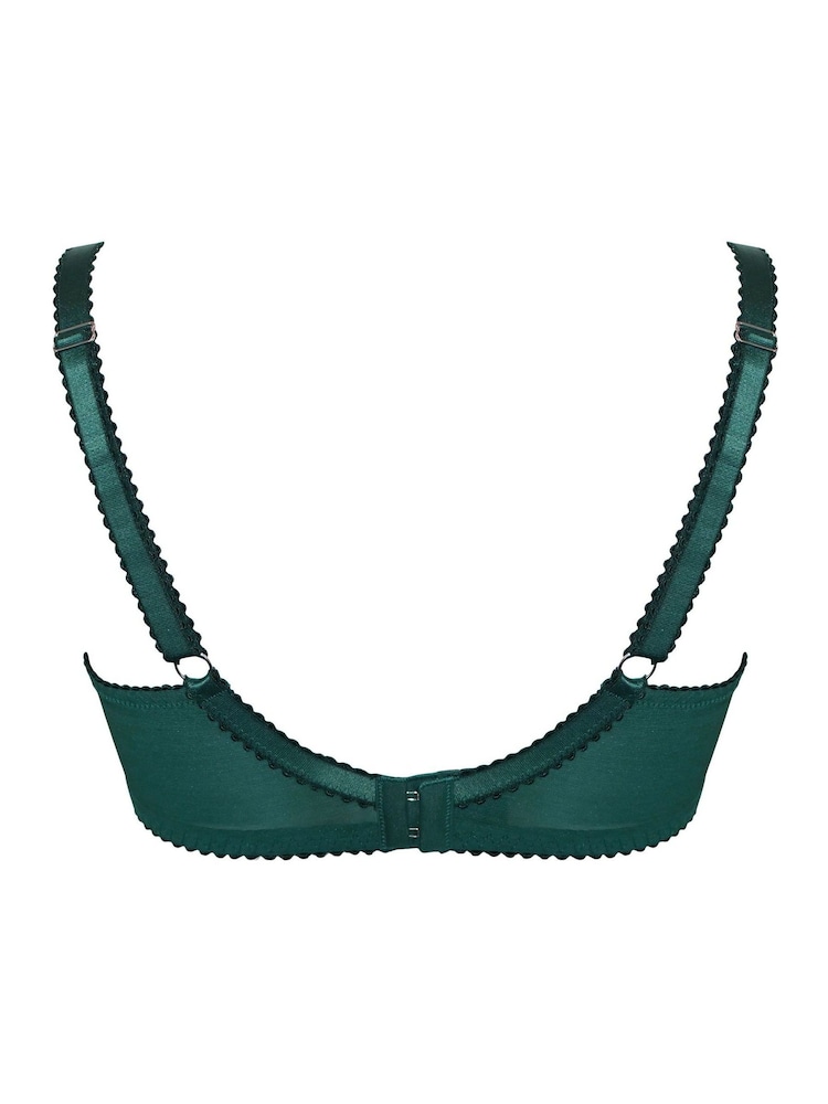 Pour Moi Green Padded Hollywood Bra - Image 4 of 4 Pour Moi Green Padded Hollywood Bra - Image 4 of 4