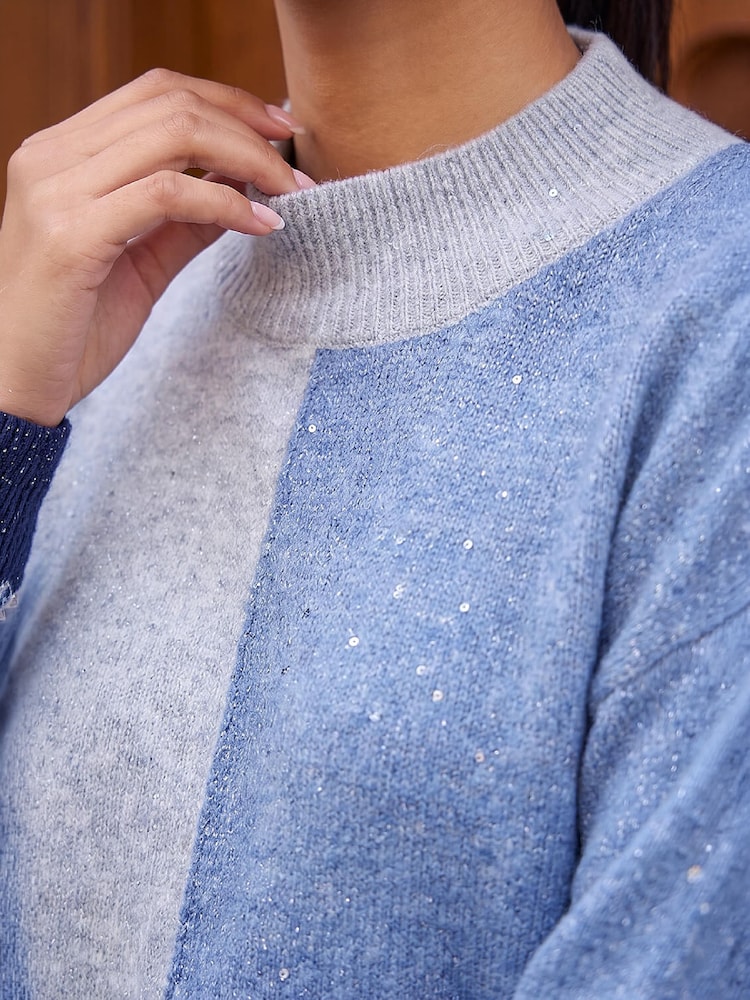Roman Blue Petite Sequin Jumper - Image 4 of 4