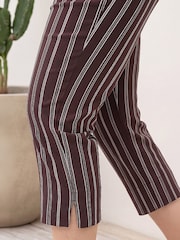 Roman Brown Petite Stripe Cropped Trousers - Image 4 of 4