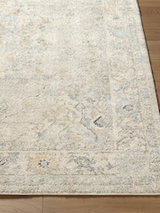 LIVABLISS Vintage Grey Avellino Vintage Traditional Boho High Pile Rug - Image 2 of 6