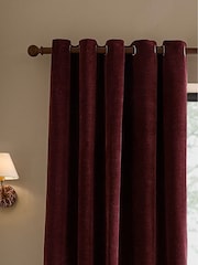 Yard Beetroot Heath Washed Velvet Lined Eyelet Curtains - Image 1 of 4