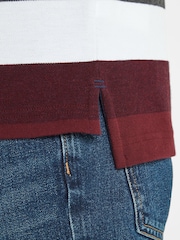Tog 24 Maroon Flaxby Deep Port Polo T-Shirt - Image 5 of 8