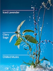 Bath & Body Works Iced Blue Lavender Wallflowers Fragrance Refill 24ml - Image 3 of 3