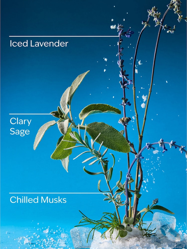 Bath & Body Works Iced Blue Lavender Wallflowers Fragrance Refill 24ml - Image 3 of 3 Bath & Body Works Iced Blue Lavender Wallflowers Fragrance Refill 24ml - Image 3 of 3