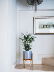 Ivyline Grey Anzio Planter with Wooden Stand - Image 1 of 4