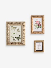 Set of 3 Gold Ornate Wooden Photo Frames - Image 4 of 5