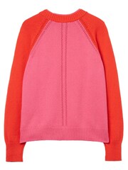 Joules Sasha Colour Block Raglan Jumper - Image 7 of 9