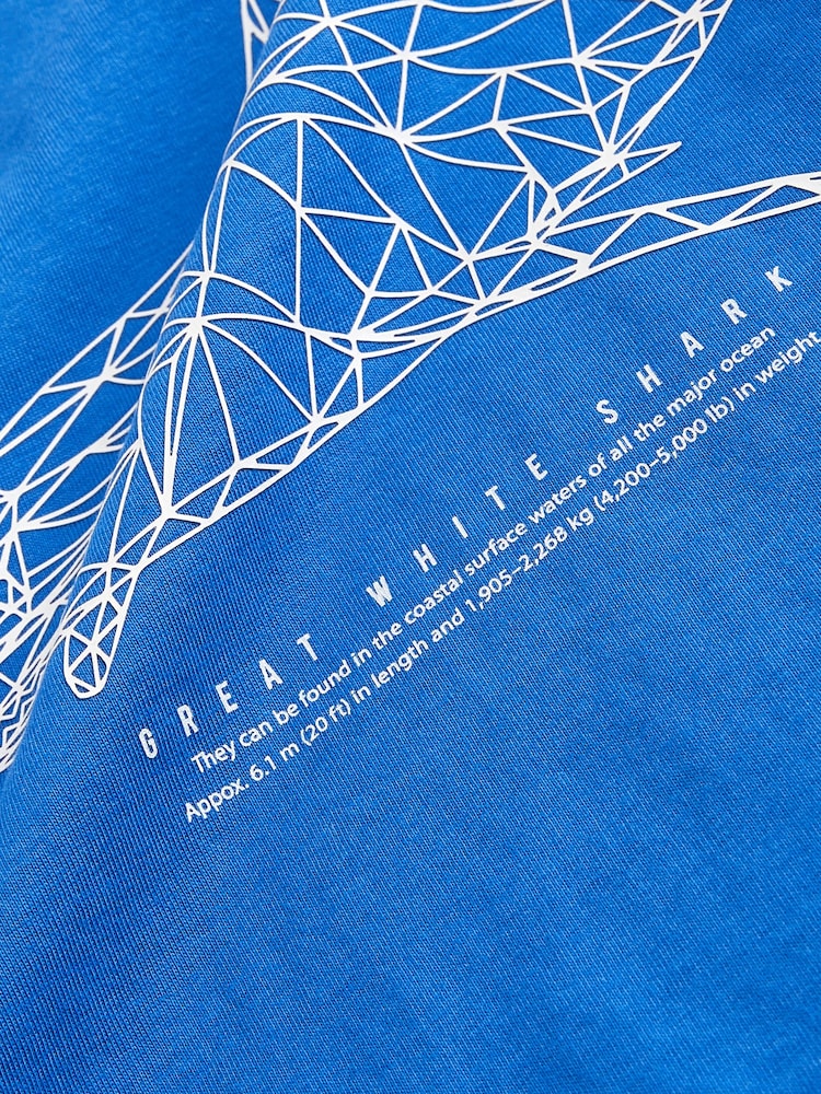 Cobalt Blue Shark Short Sleeves Graphic 100% Cotton T-Shirt (3-16yrs) - Image 3 of 3