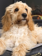 Scruffs® Black Washable Tweed Medium Breed Dog Bed - Image 2 of 4