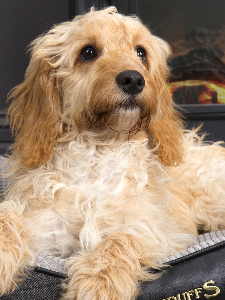 Scruffs® Black Washable Tweed Medium Breed Dog Bed - Image 2 of 4