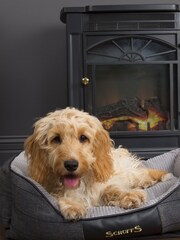 Scruffs® Black Washable Medium Breed Windsor Tweed Dog Bed - Image 2 of 4