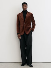 Reiss Tobacco Brown Apsara Classic Fit Velvet Single-Breasted Blazer - Image 5 of 11