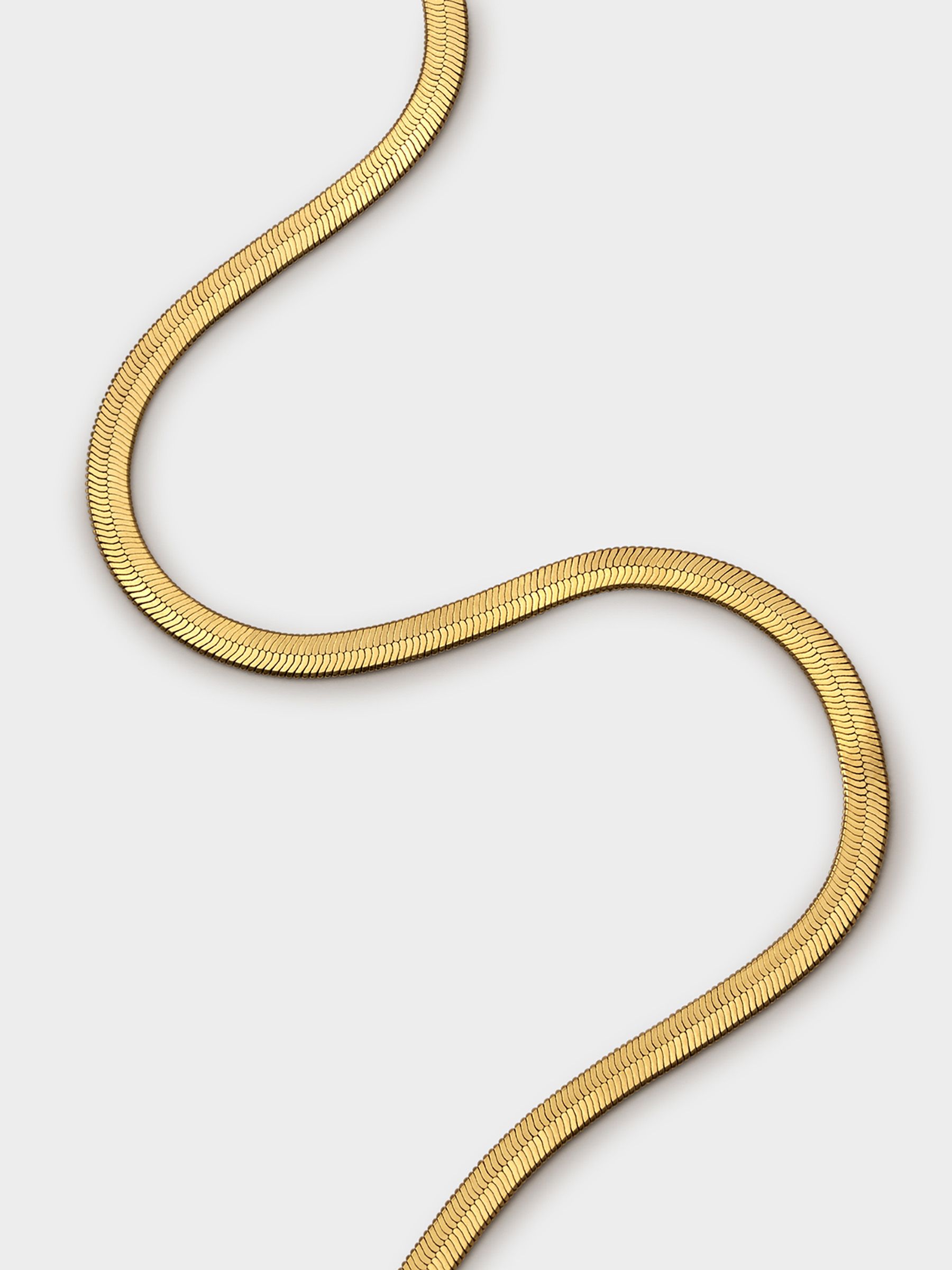 Snake Evolution Chain Buy Katie Loxton Gold Ciana Snake Chain Necklace from Next Qatar