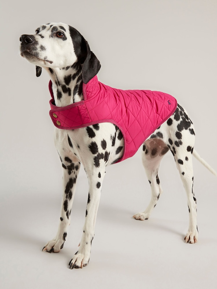 Joules Raspberry Pink Quilted Rain Dog Coat - Image 1 of 6