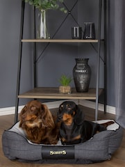 Scruffs® Black Windsor Extra Large Breed Dog Box Bed - Image 1 of 4