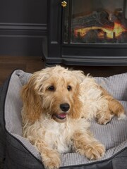 Scruffs® Black Windsor Extra Large Breed Dog Box Bed - Image 2 of 4