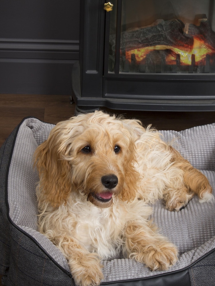 Scruffs® Black Windsor Extra Large Breed Dog Box Bed - Image 2 of 4