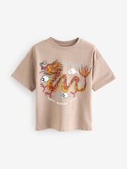 Stone Dragon Relaxed Fit Short Sleeve Graphic T-Shirt (3-16yrs) - Image 1 of 3