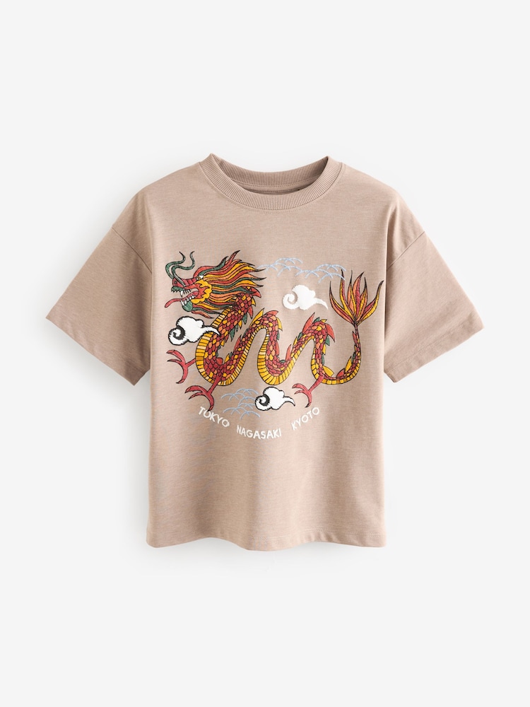 Stone Dragon Relaxed Fit Short Sleeve Graphic T-Shirt (3-16yrs) - Image 1 of 3