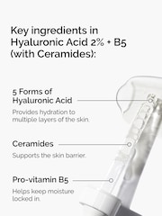 The Ordinary Hyaluronic Acid 2% + B5 60ml - Image 5 of 5