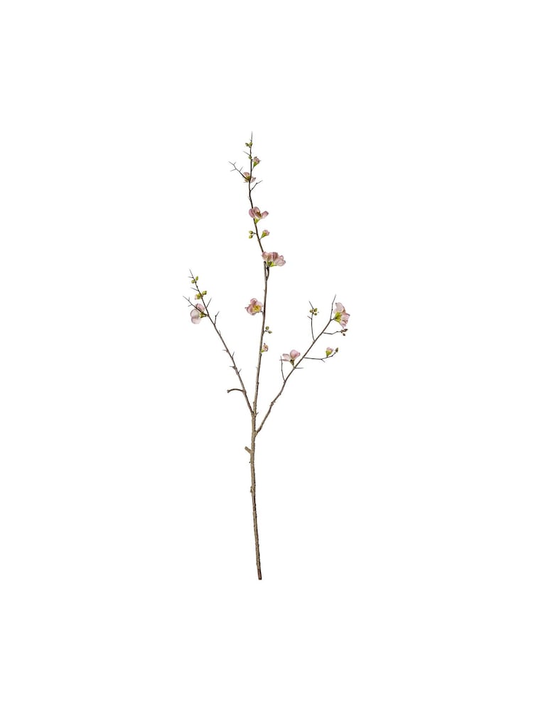 Gallery Home Black Blossom Stem Powder 3PK 920mm - Image 1 of 1 Gallery Home Black Blossom Stem Powder 3PK 920mm - Image 1 of 1