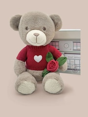 Babyblooms Valentines Day Frankie Bear Soft Toy and Baby Rosebud Socks - Love Heart Red - Image 1 of 5