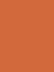 Graham & Brown Fortune Cookie Orange Matt Emulsion 100ml Tester Paint - Image 2 of 3