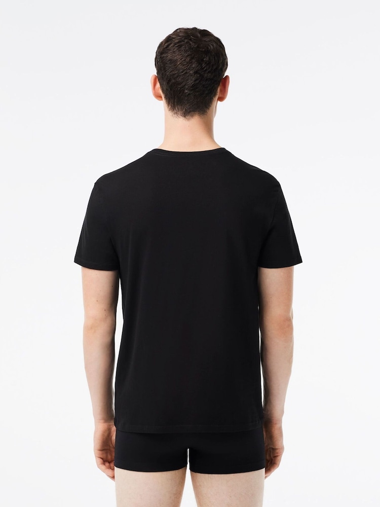 črna - Lacoste 100% Bombažna majica 3 Pakiranje - Slika 3 iz 3 črna - Lacoste 100% Bombažna majica 3 Pakiranje - Slika 3 iz 3