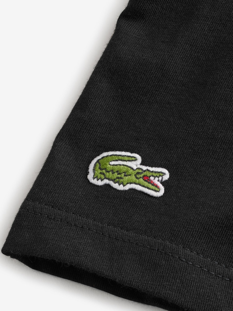 Lacoste 100% Cotton T-Shirts 3 Pack - Image 9 of 9