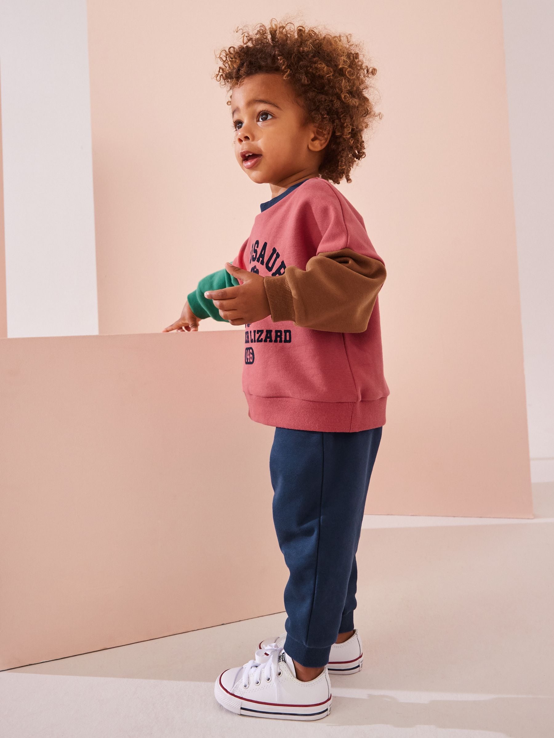 Red/Blue Dinosaur Printed Colourblock Sweatshirt and Joggers Set  (3mths-7yrs)