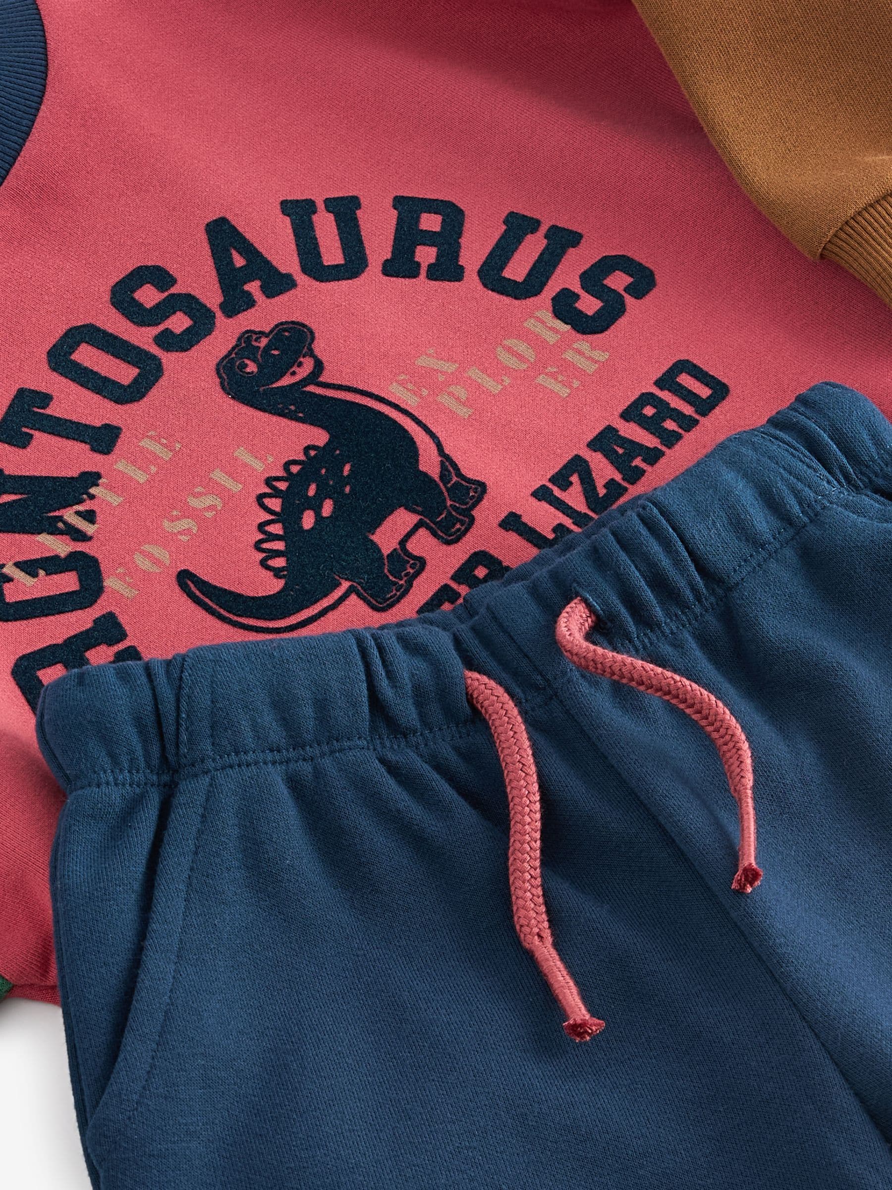 Buy Red Blue Dinosaur Printed Colourblock Sweatshirt and Joggers Set 3mths 7yrs from the Next UK online shop