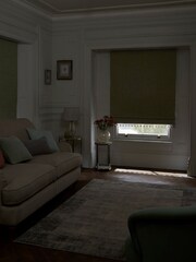 Sage Green Ready Made Blackout Roman Blind Textured Tassel Edge - Image 2 of 7