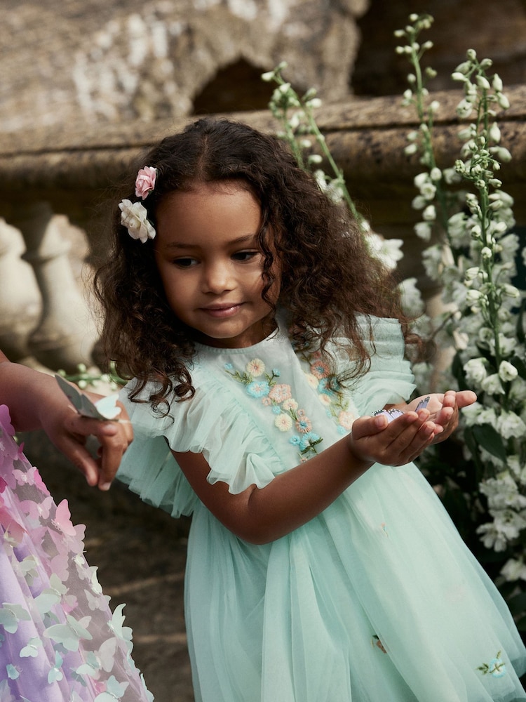 Pale Blue Embroidered Mesh Party Dress (3mths-10yrs) - Image 1 of 1
