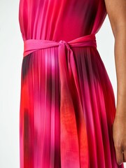 Roman Pink Petite Halterneck Pleated Maxi Dress - Image 5 of 5