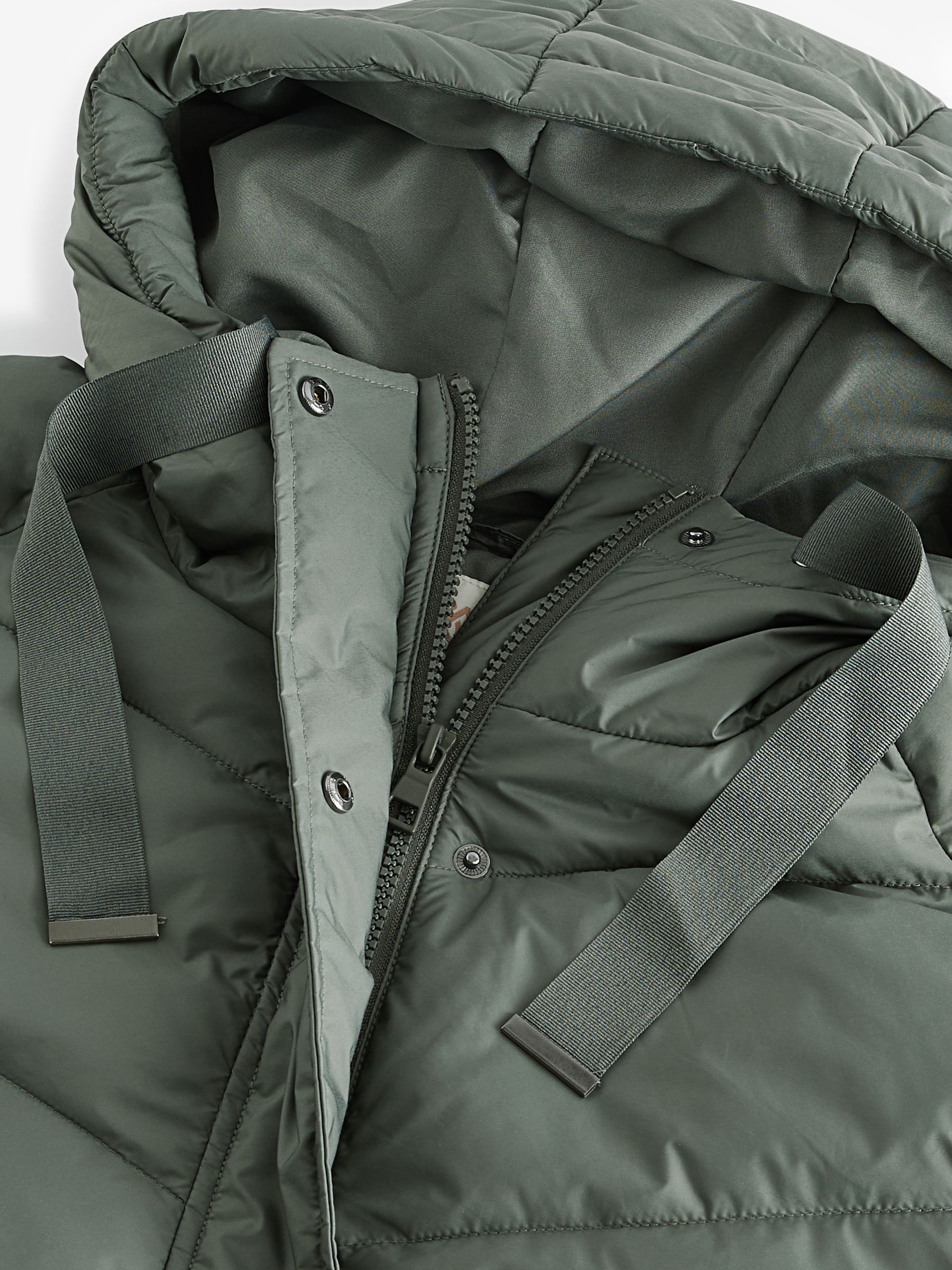 Next sage padded coat deals
