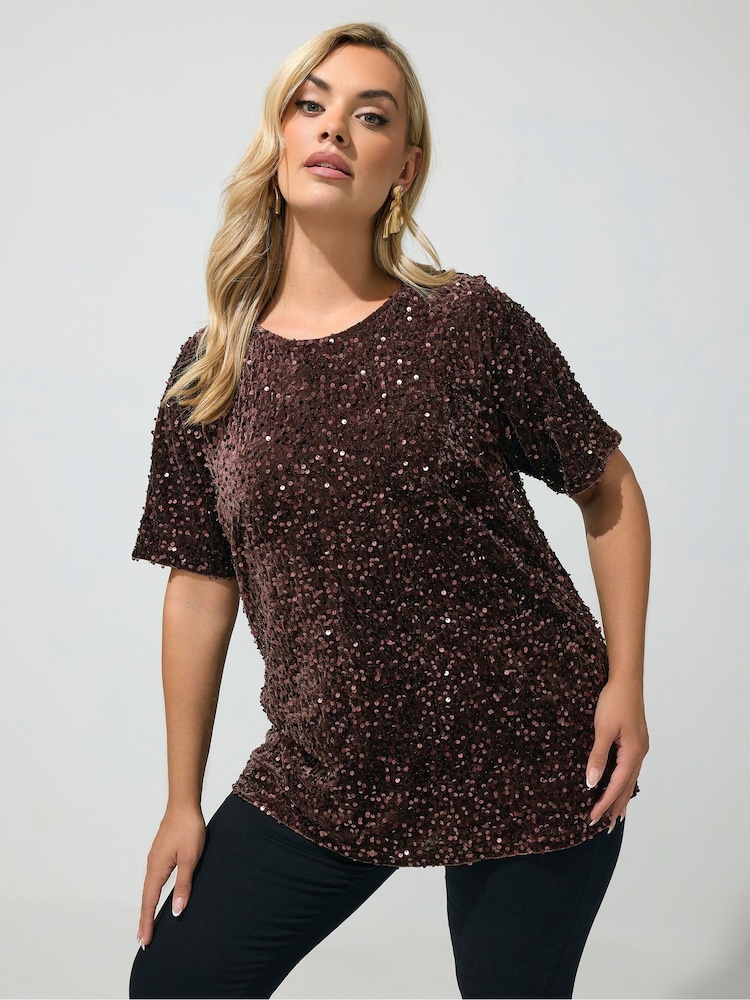Yours Curve Brown Sequin Velvet T-Shirt - Image 1 of 6 Yours Curve Brown Sequin Velvet T-Shirt - Image 1 of 6