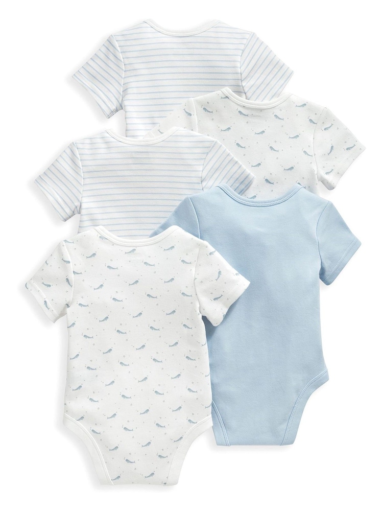 Mamas & Papas Blue Whale Bodysuits 5 Pack - Image 3 of 3