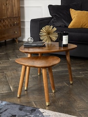 Dark Lloyd Mango Wood Nest of 2 Coffee Table - Image 1 of 7