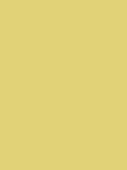 Joules Cornish Sun Peel and Stick Sample - Image 2 of 2