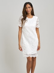 Gina Bacconi Reid Lace Shift Dress - Bild 1 von 6