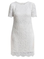 Gina Bacconi Reid Lace Shift Dress - Bild 6 von 6