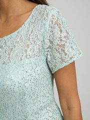 Gina Bacconi Green Genny Cap Sleeve Midi Length Sequin Lace Dress - Image 4 of 7