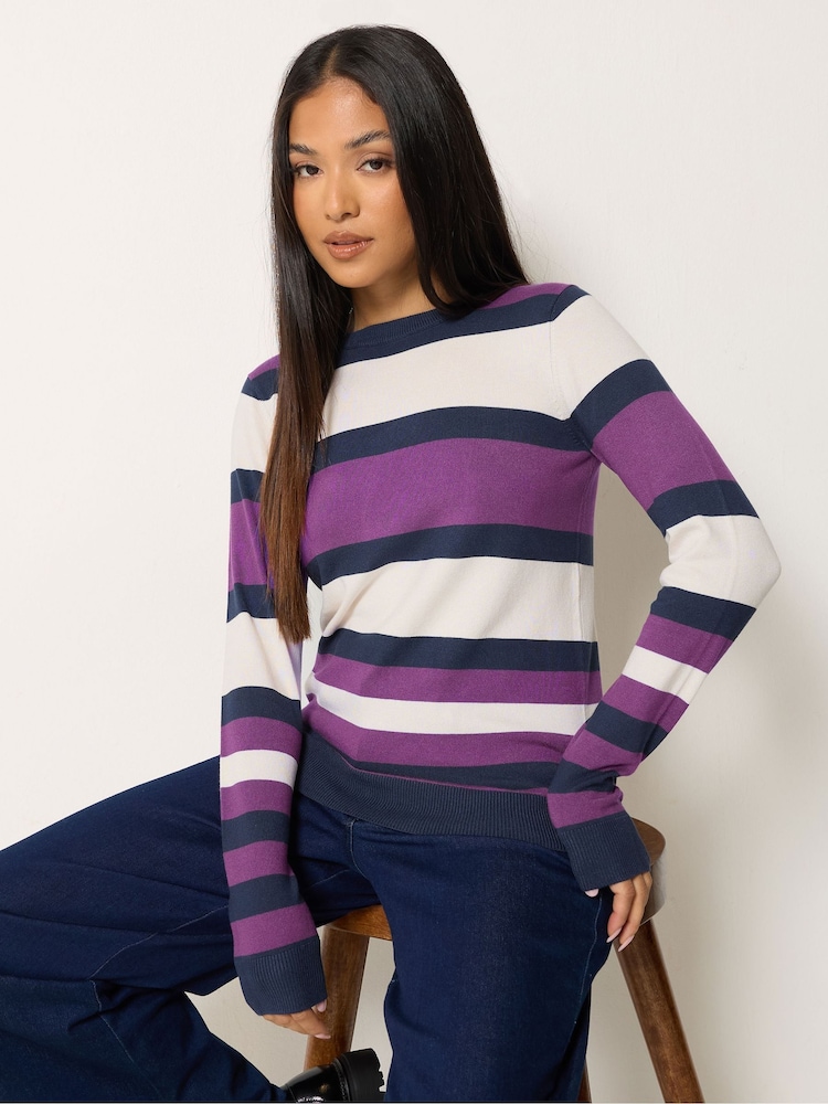 M&Co Purple Petite Stripe Crew Neck Jumper - Image 1 of 6 M&Co Purple Petite Stripe Crew Neck Jumper - Image 1 of 6
