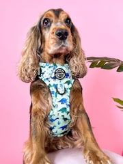 Pawsome Paws Boutique Blue Tough Trails Dog Harness - Image 1 of 4