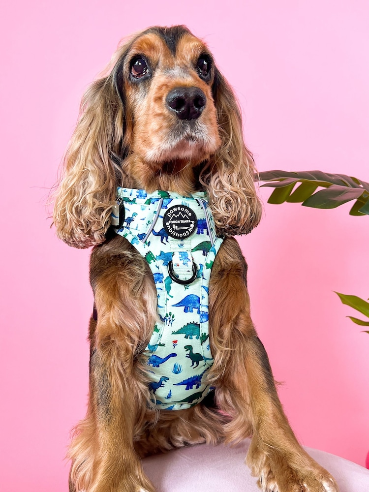 Pawsome Paws Boutique Blue Tough Trails Dog Harness - Image 1 of 4
